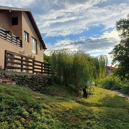 Ferienwohnung Casa Radu Novaci-Străini Exterior foto