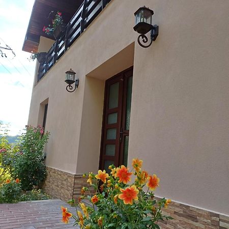 Ferienwohnung Casa Radu Novaci-Străini Exterior foto