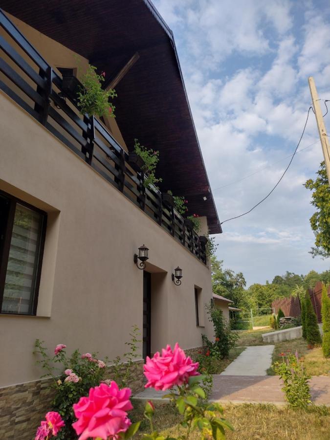 Ferienwohnung Casa Radu Novaci-Străini Exterior foto