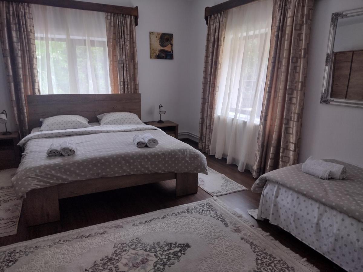 Ferienwohnung Casa Radu Novaci-Străini Exterior foto
