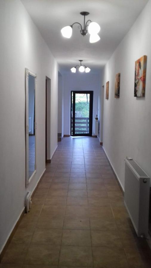 Ferienwohnung Casa Radu Novaci-Străini Exterior foto