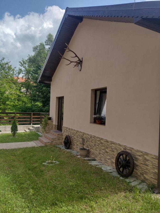 Ferienwohnung Casa Radu Novaci-Străini Exterior foto