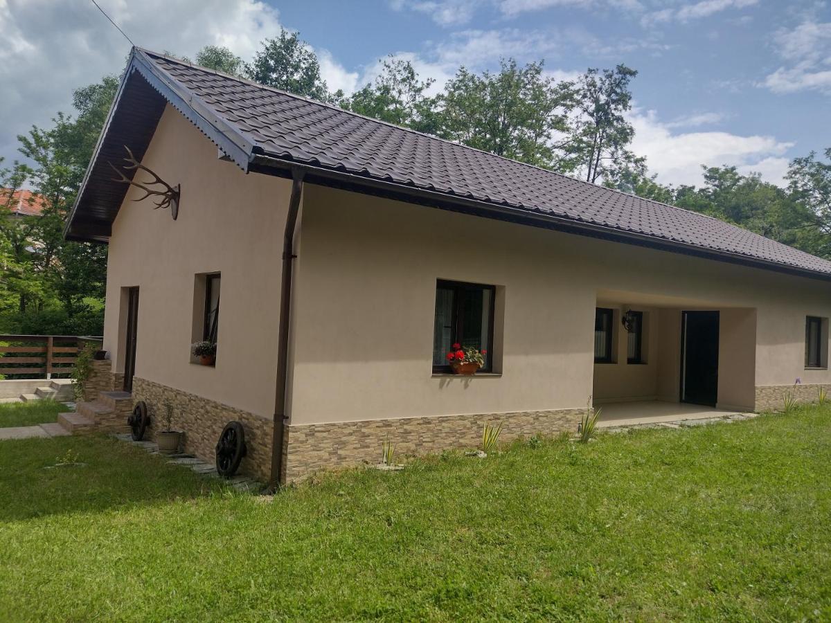 Ferienwohnung Casa Radu Novaci-Străini Exterior foto