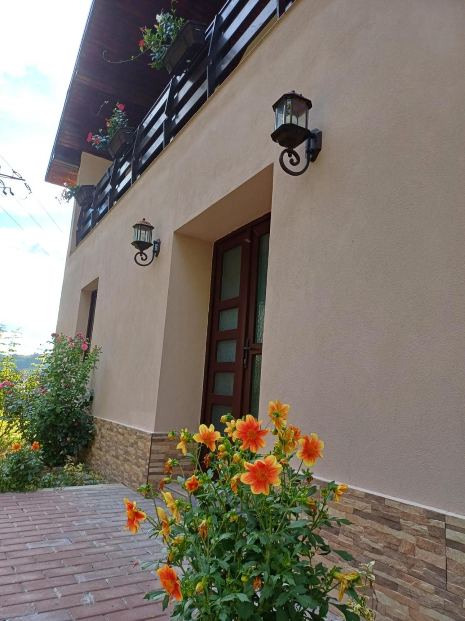 Ferienwohnung Casa Radu Novaci-Străini Exterior foto
