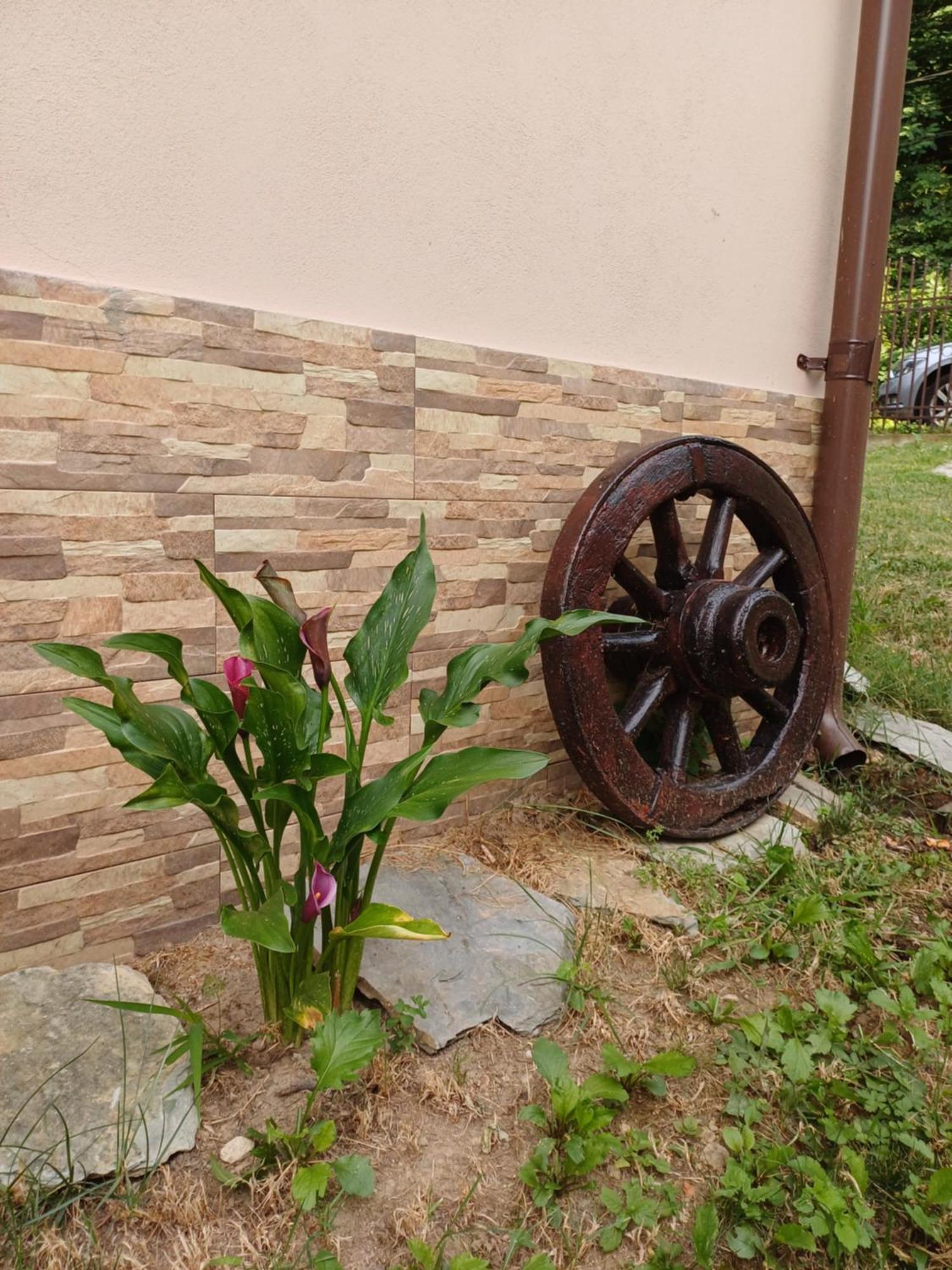Ferienwohnung Casa Radu Novaci-Străini Exterior foto
