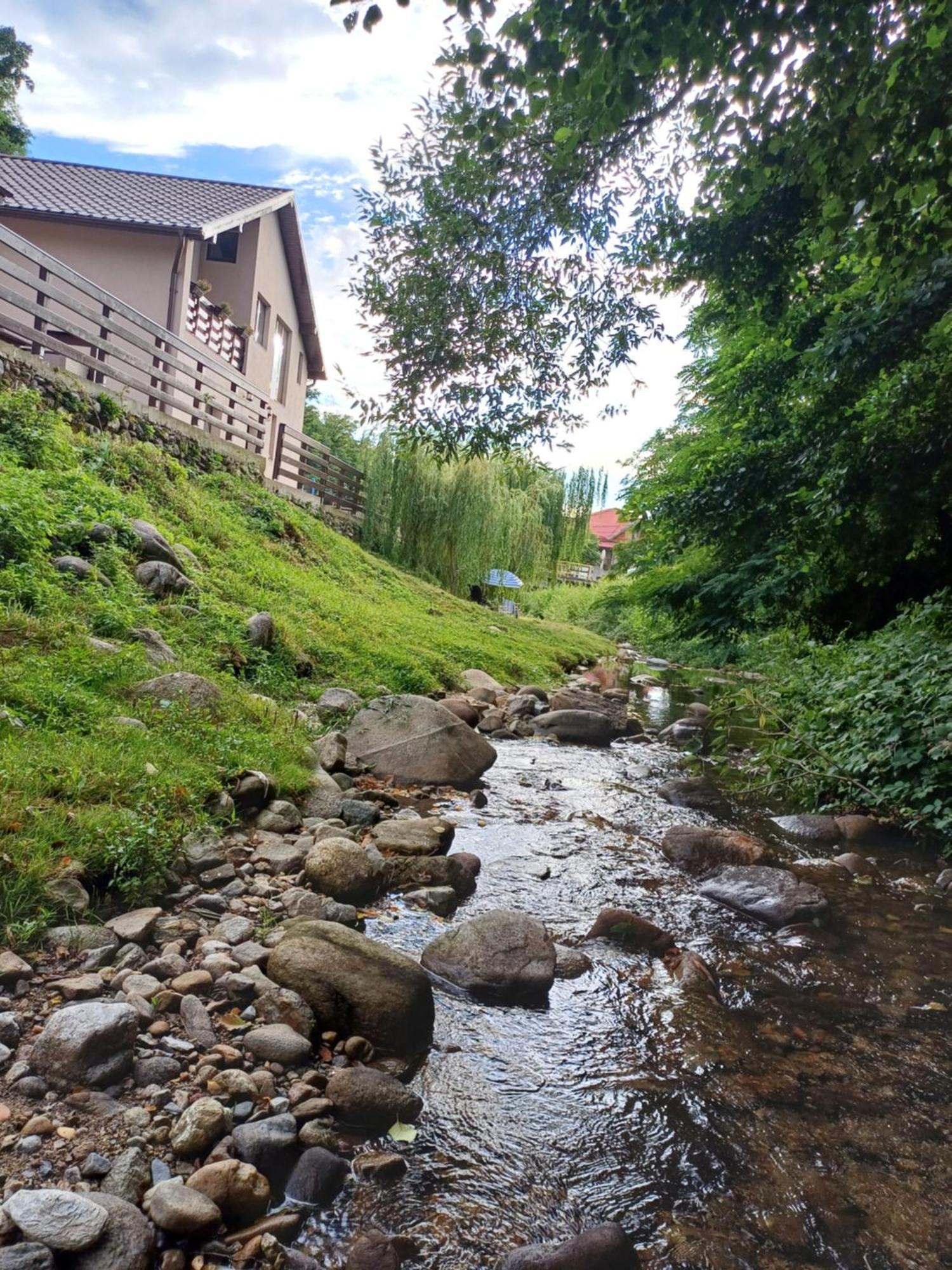 Ferienwohnung Casa Radu Novaci-Străini Exterior foto