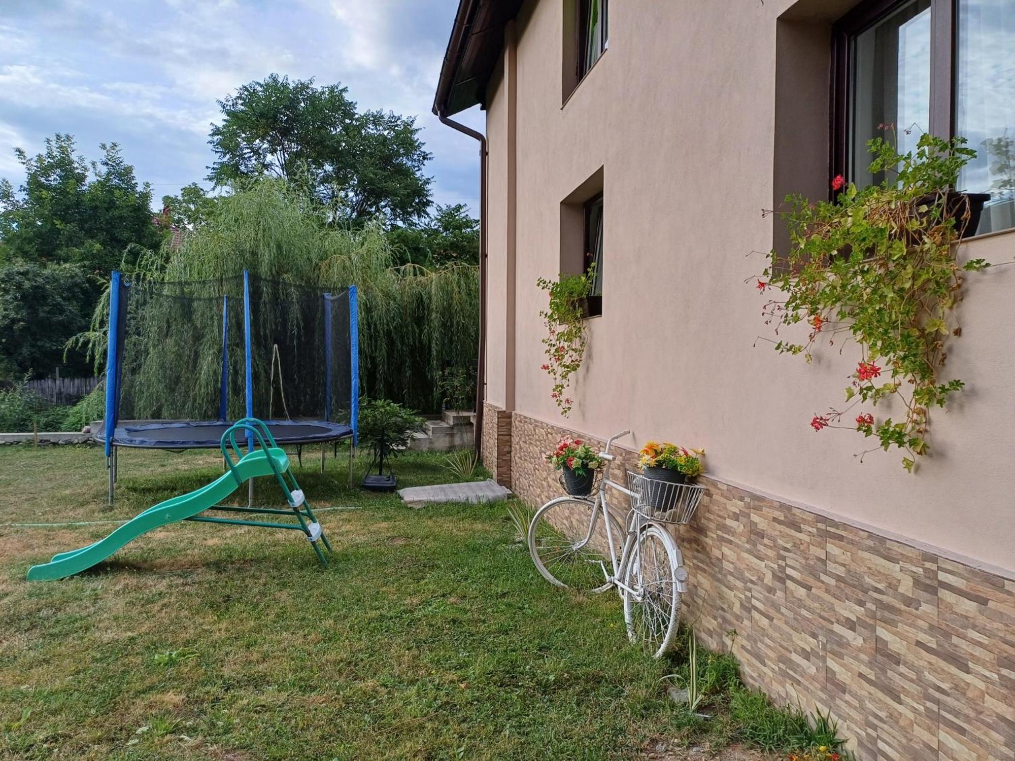 Ferienwohnung Casa Radu Novaci-Străini Exterior foto
