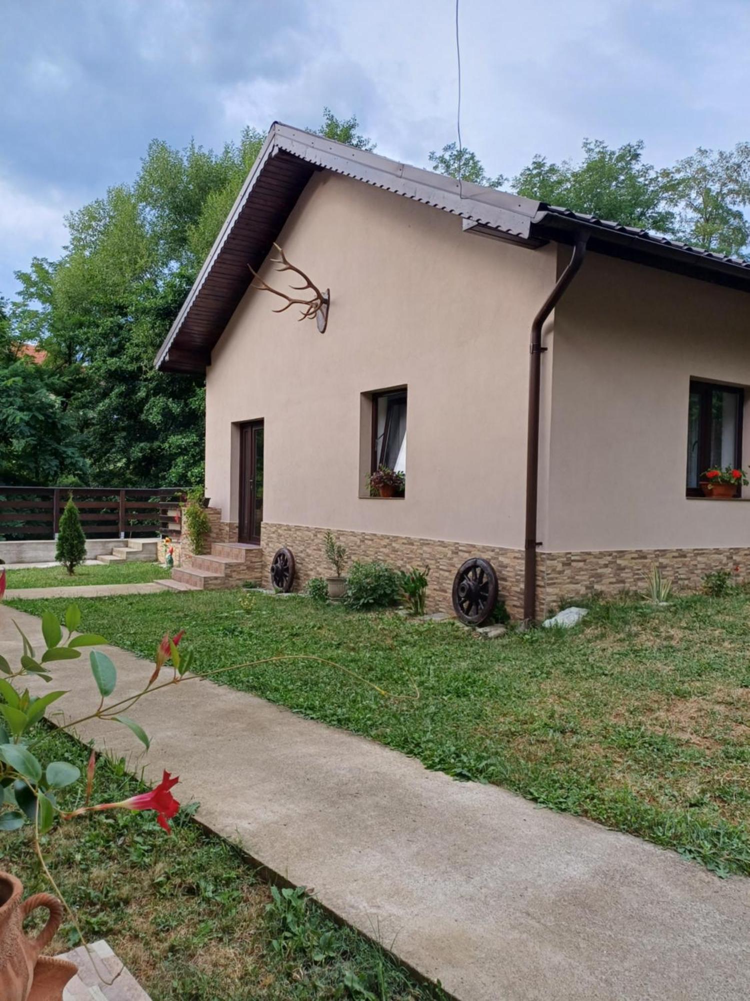 Ferienwohnung Casa Radu Novaci-Străini Exterior foto
