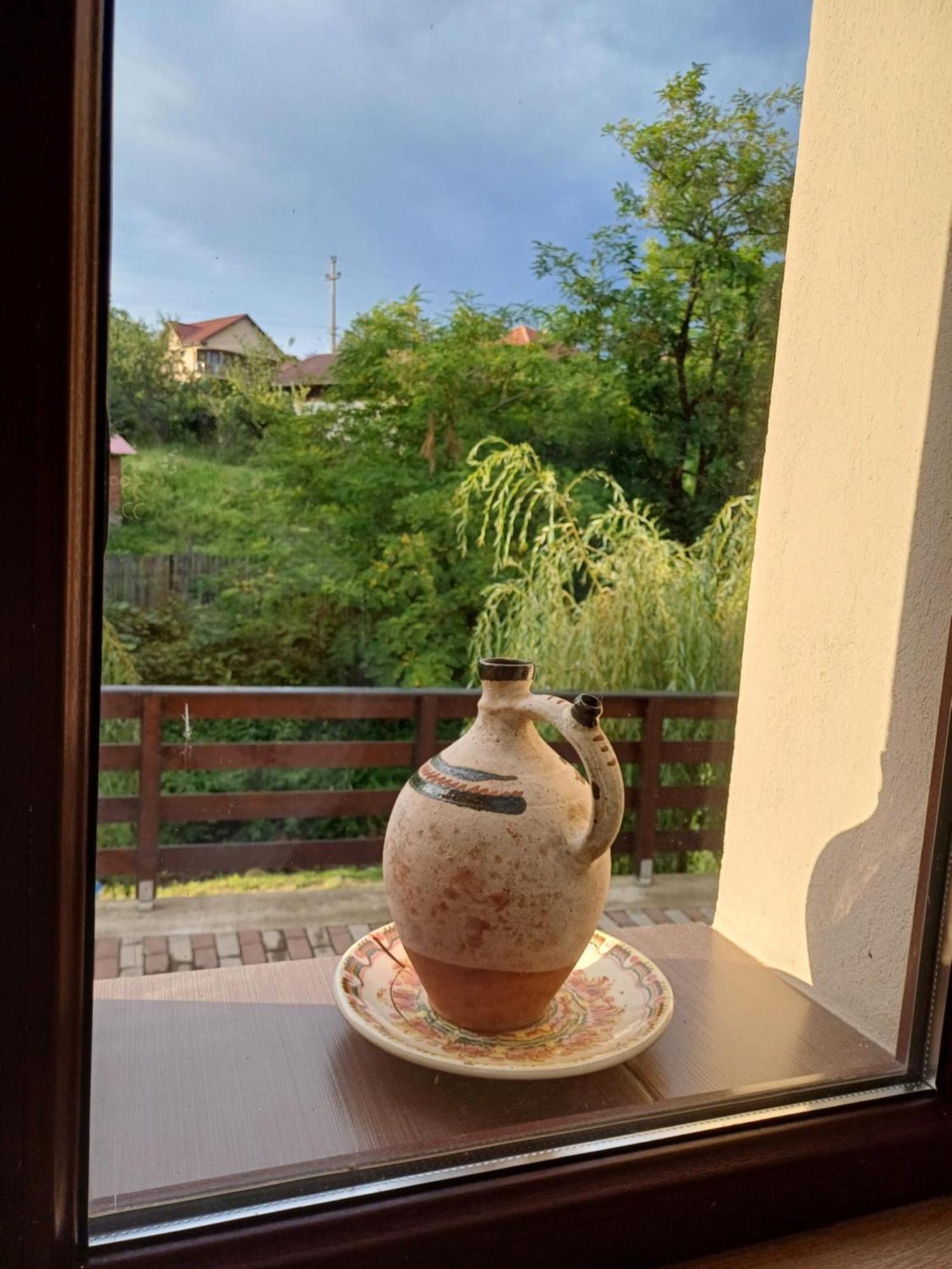 Ferienwohnung Casa Radu Novaci-Străini Exterior foto