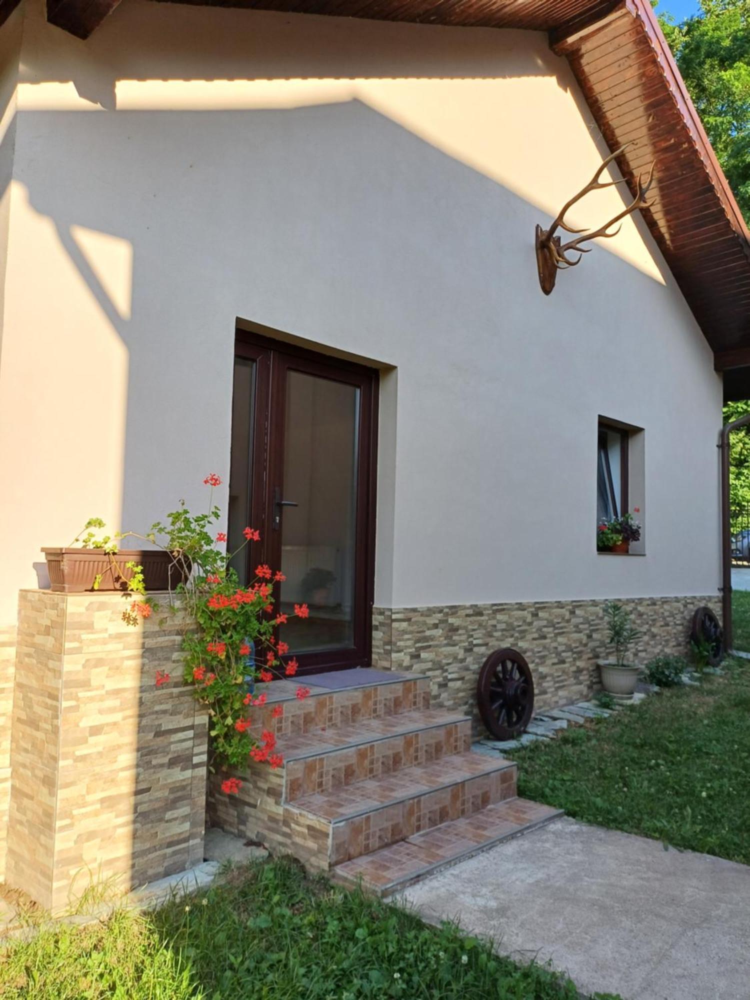 Ferienwohnung Casa Radu Novaci-Străini Exterior foto