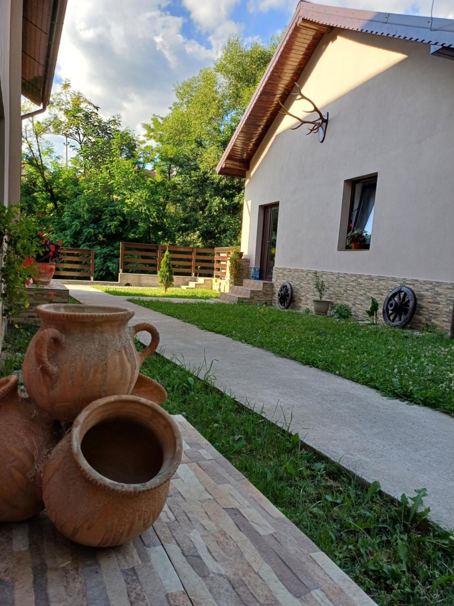 Ferienwohnung Casa Radu Novaci-Străini Exterior foto