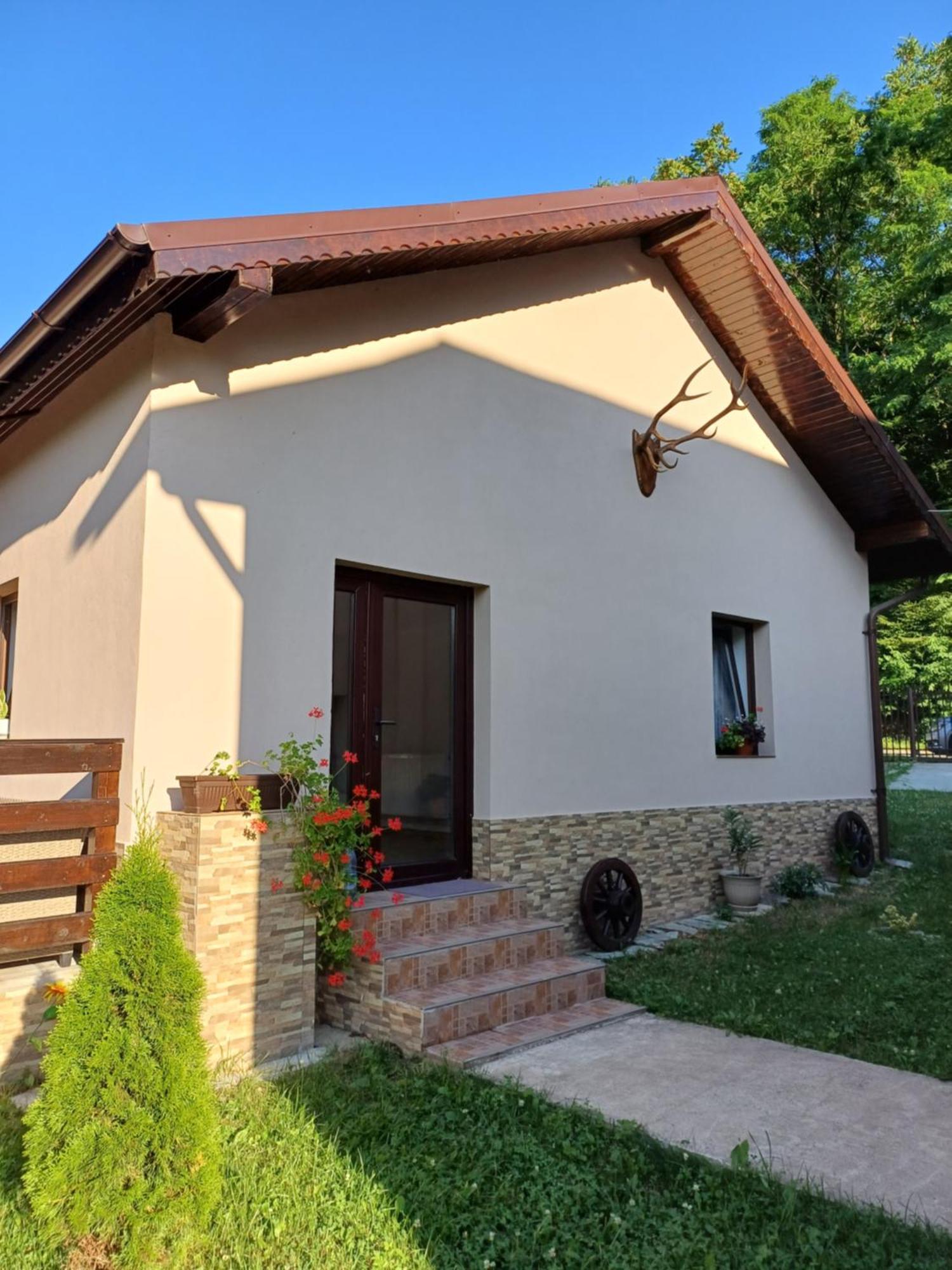 Ferienwohnung Casa Radu Novaci-Străini Exterior foto