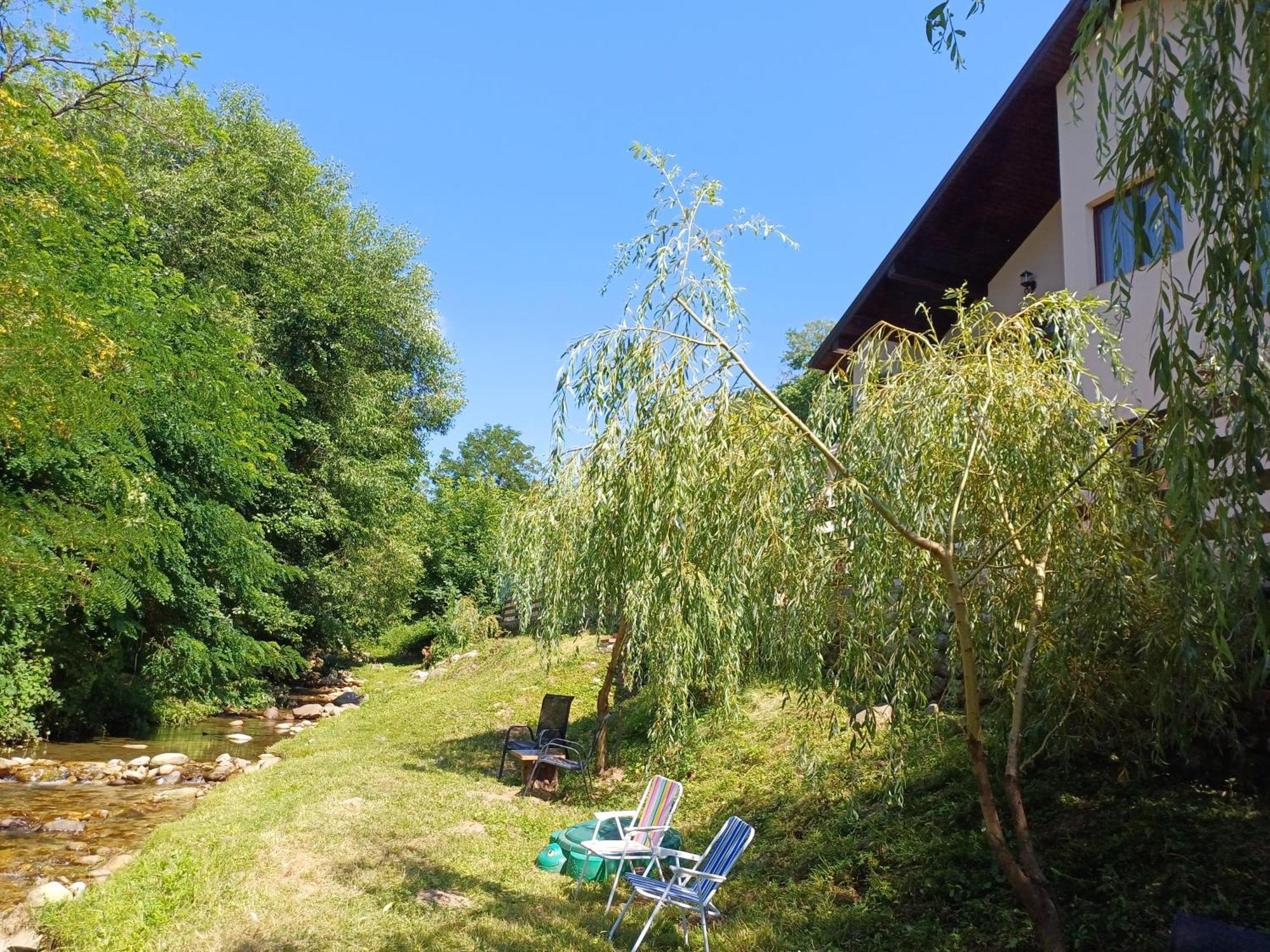 Ferienwohnung Casa Radu Novaci-Străini Exterior foto
