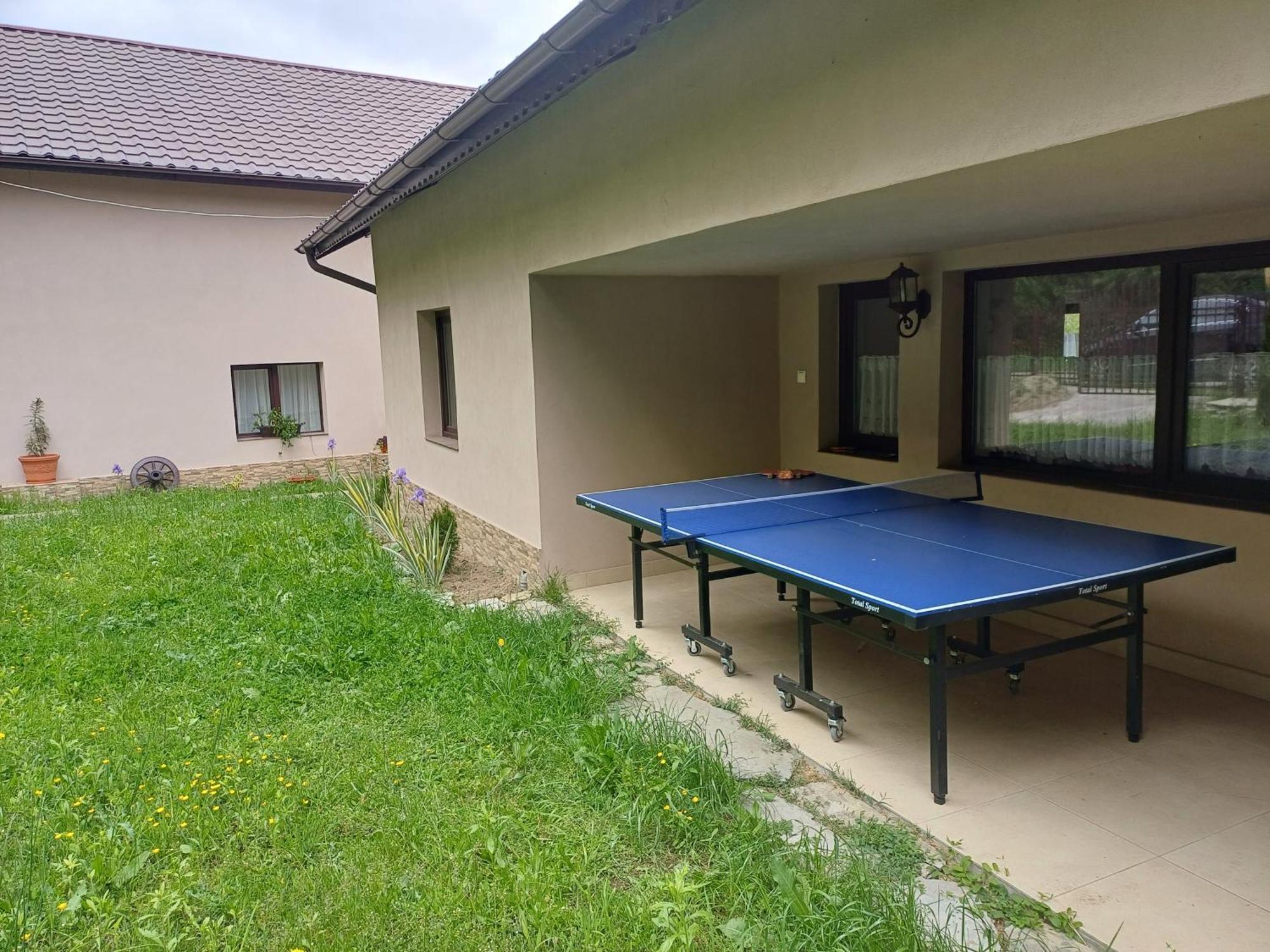 Ferienwohnung Casa Radu Novaci-Străini Exterior foto